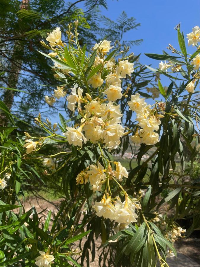 Finca Limoneros Lägenhet Alora Exteriör bild